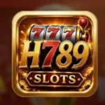 H789 Game logo