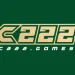 c222 game online